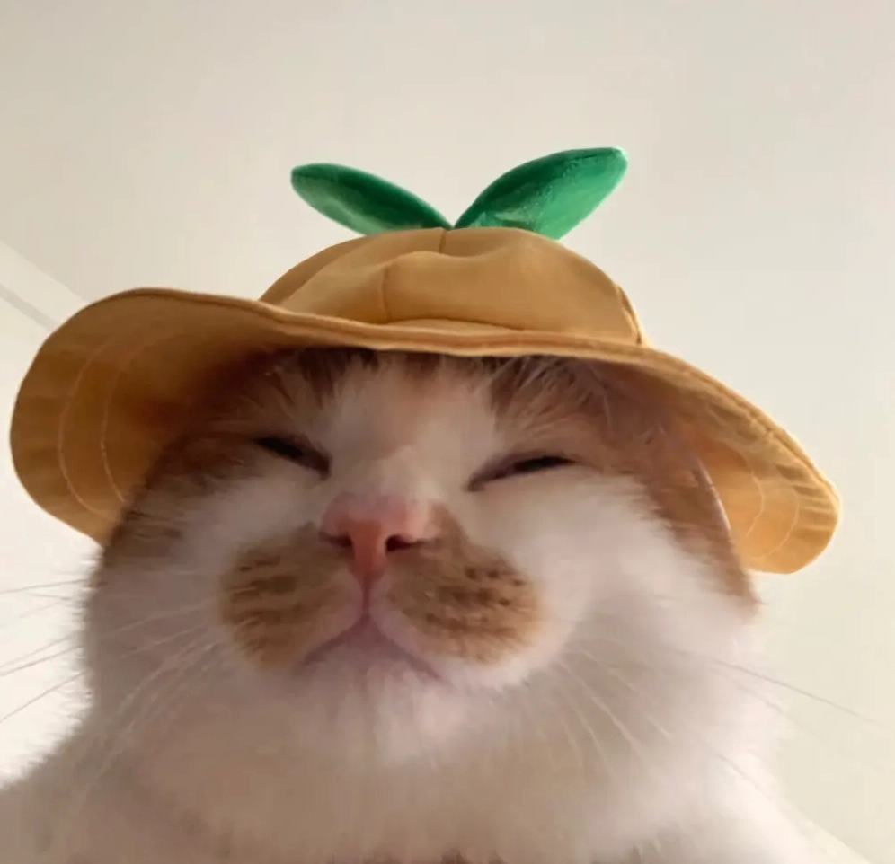 Ảnh đại diện anime phong cách nghệ thuật tối giản, gợi cảm hứng cho ảnh minecraft anime