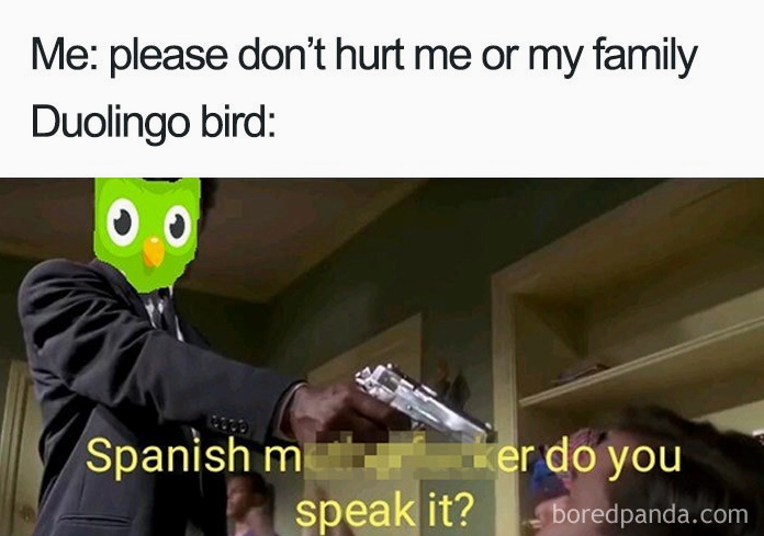 Top 20 Ảnh Duolingo Meme Cực Hài Hước và Ám Ảnh Nhất Mạng Xã Hội 7 ảnh duolingo meme cú xanh cầm súng dọa học