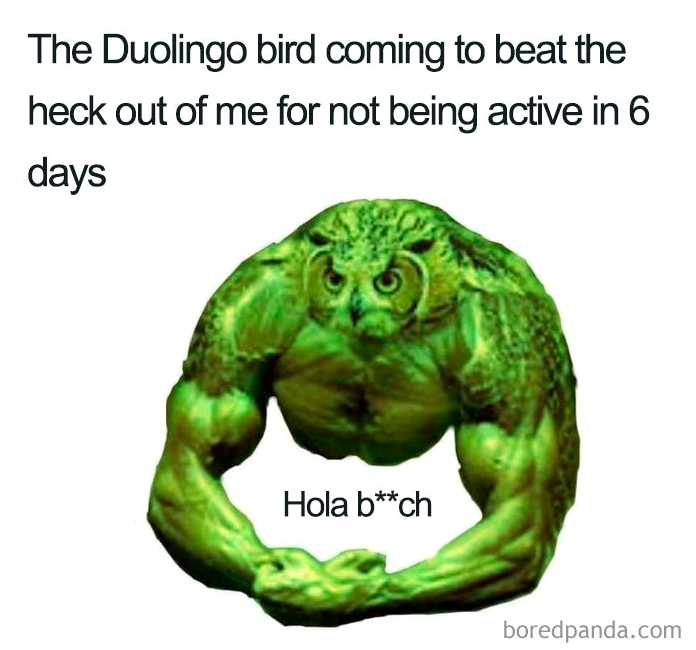 Top 20 Ảnh Duolingo Meme Cực Hài Hước và Ám Ảnh Nhất Mạng Xã Hội 11 ảnh duolingo meme cú xanh cơ bắp đòi học bài