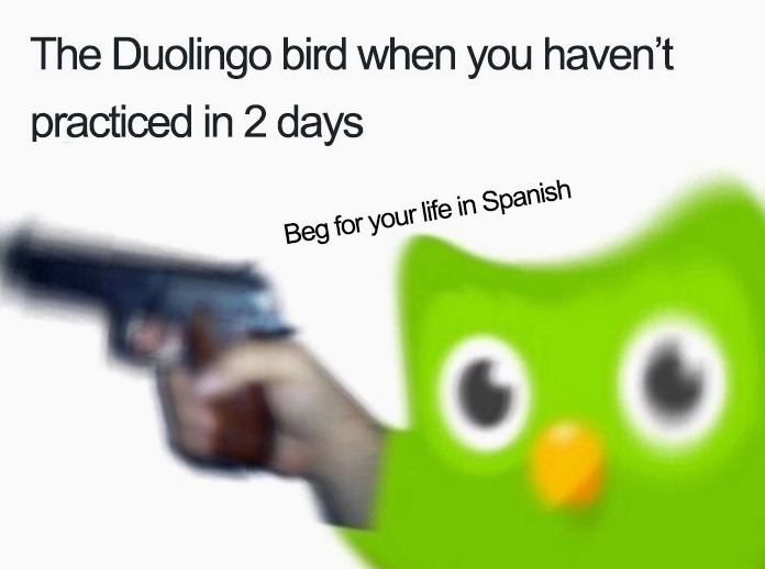 Top 20 Ảnh Duolingo Meme Cực Hài Hước và Ám Ảnh Nhất Mạng Xã Hội 2 ảnh duolingo meme cú xanh mờ ám nhắc nhở học bài