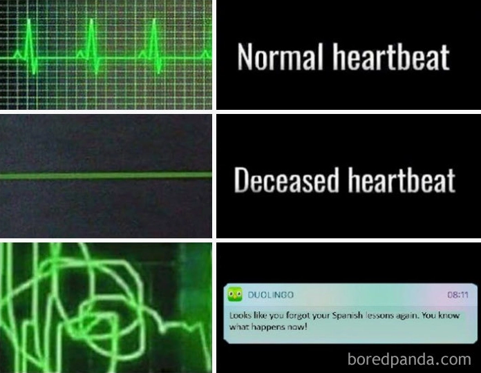 Top 20 Ảnh Duolingo Meme Cực Hài Hước và Ám Ảnh Nhất Mạng Xã Hội 10 ảnh duolingo meme nhịp tim khi học tiếng Tây Ban Nha