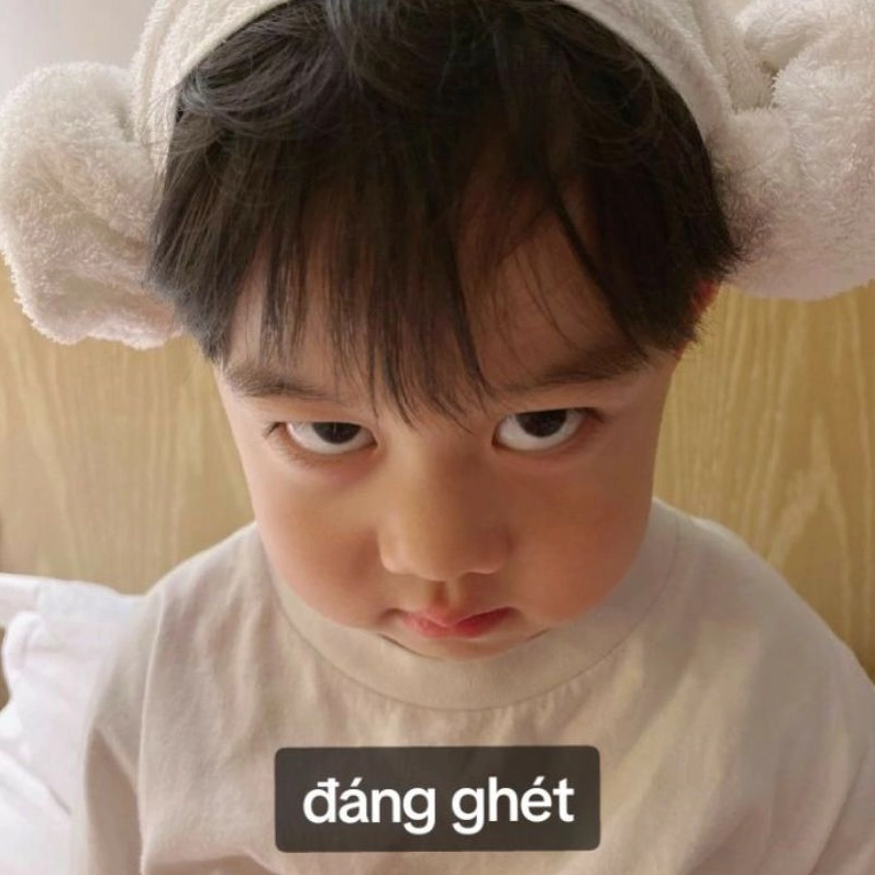 Bộ Sưu Tập Cận Cảnh Những Ảnh Em Bé Meme Hài Hước Nhất Mạng Xã Hội 2 Ảnh em bé meme đang dỗi với nét mặt hài hước