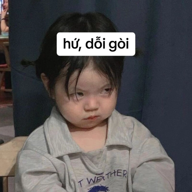 Bộ Sưu Tập Cận Cảnh Những Ảnh Em Bé Meme Hài Hước Nhất Mạng Xã Hội 1 Ảnh em bé meme với biểu cảm dỗi đáng yêu