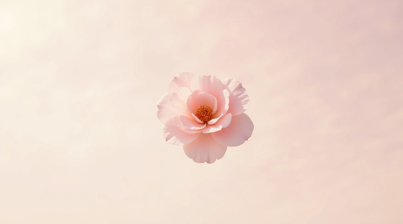 Ảnh gái quyến rũ với vẻ đẹp trong trẻo, tinh khôi như hoa anh đào