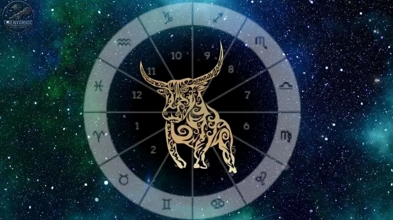 Ảnh gái xinh 2k9 dịu dàng, e ấp trong phong cách nhẹ nhàng