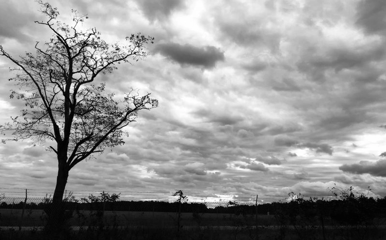 Ảnh gái xinh buồn với phong cảnh thiên nhiên đầy tâm trạng