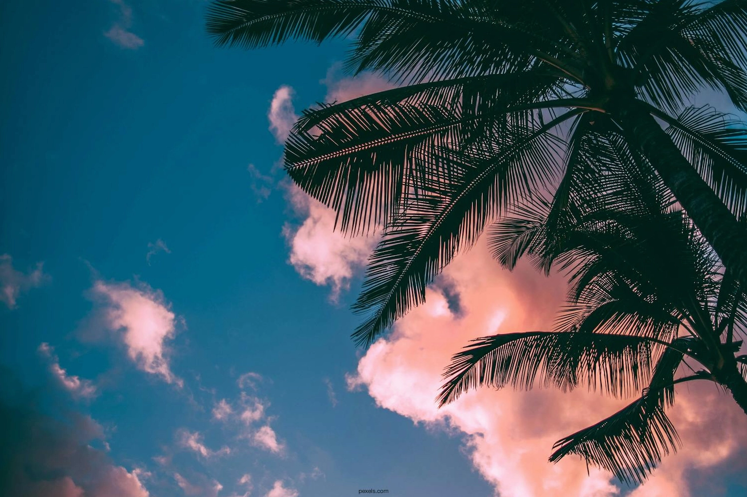 Bộ Sưu Tập Ảnh Gái Xinh Full HD Đẹp Mê Hồn Ngắm Nhìn Cả Ngày 6 Ảnh gái xinh full HD rực rỡ trên nền hình ảnh 4K ấn tượng