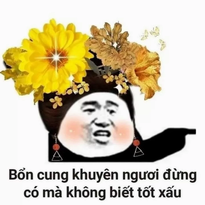 Ảnh gấu trúc bựa mang đậm phong cách Trung Quốc