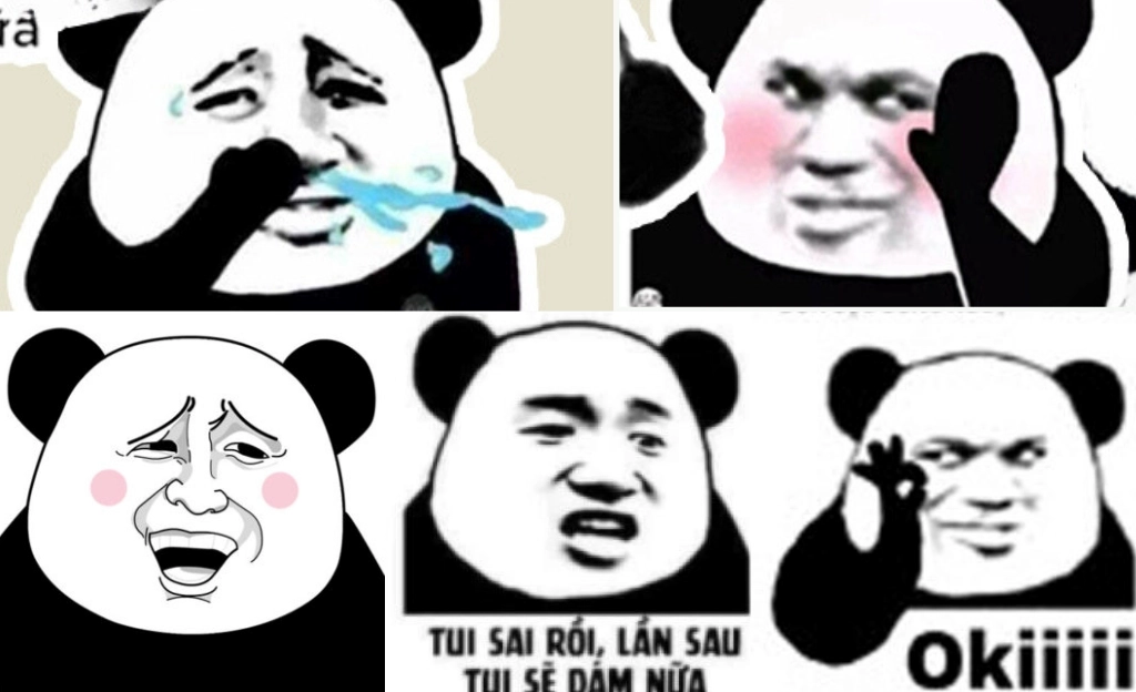 Ảnh gấu trúc bựa với biểu cảm khó đỡ