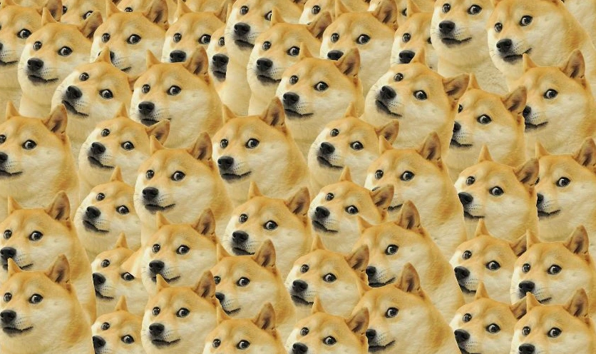 Ảnh hình nền meme chó Shiba Doge biểu cảm đáng yêu
