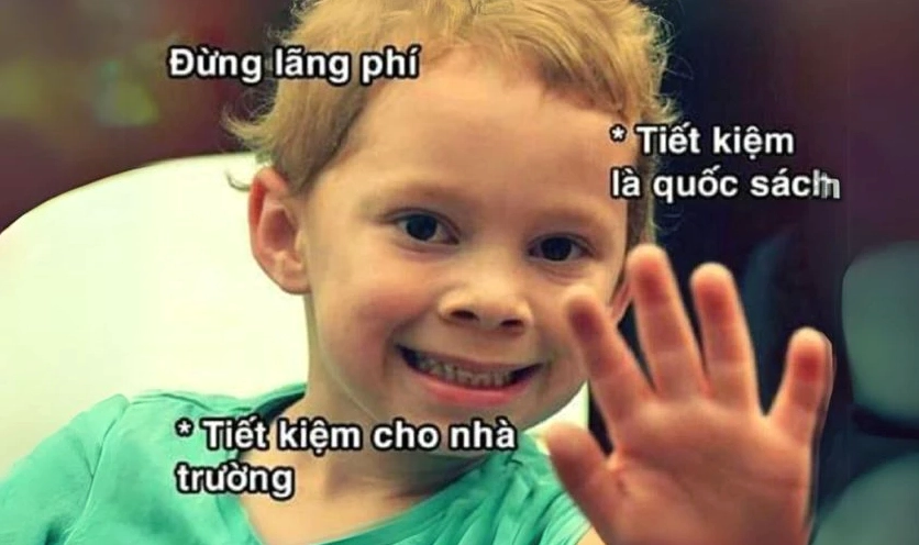 Ảnh hình nền meme mèo buồn bã khi học bài, phù hợp cho học sinh sinh viên