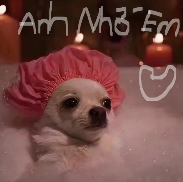 ảnh meme ảnh cute diễn tả nỗi nhớ người yêu