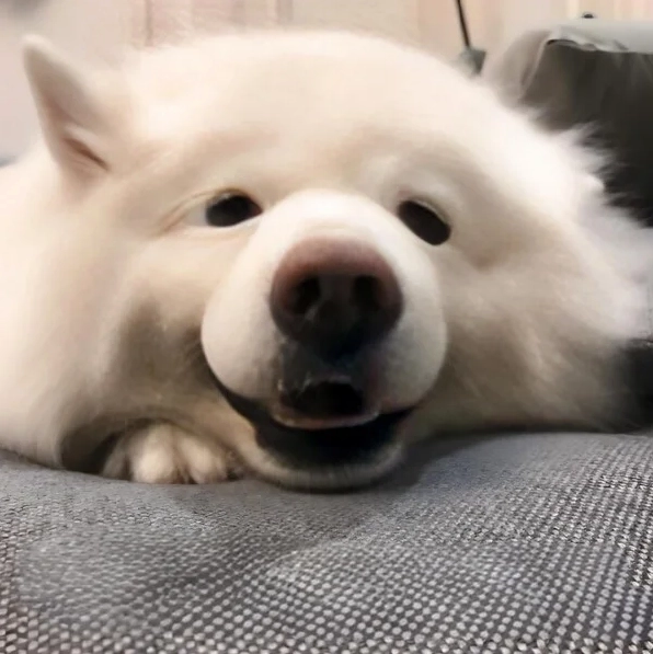 ảnh meme ảnh cute thể hiện nỗi lòng nhớ nhung