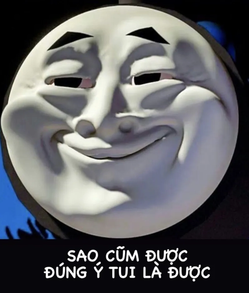 Ảnh meme bựa mèo 