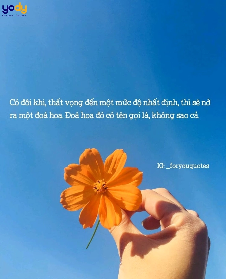 Cận cảnh 17 Ảnh Meme Mệt Mỏi: Bộ Sưu Tập Cười Xả Stress Của Bạn 10 Ảnh meme buồn và sự mệt mỏi triền miên