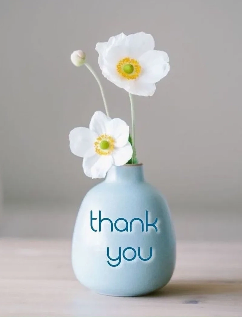 Bộ Sưu Tập Ảnh Meme Cảm Ơn Hài Hước Và Độc Đáo Nhất 10 Ảnh meme cảm ơn vì đã lắng nghe một cách hài hước