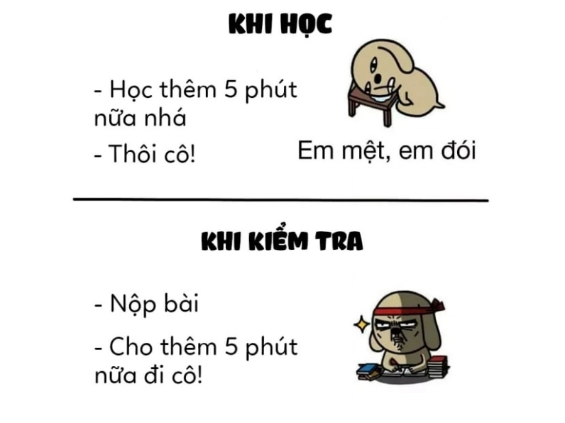 Ảnh meme chế 5 phút khi học và khi kiểm tra học sinh sinh viên