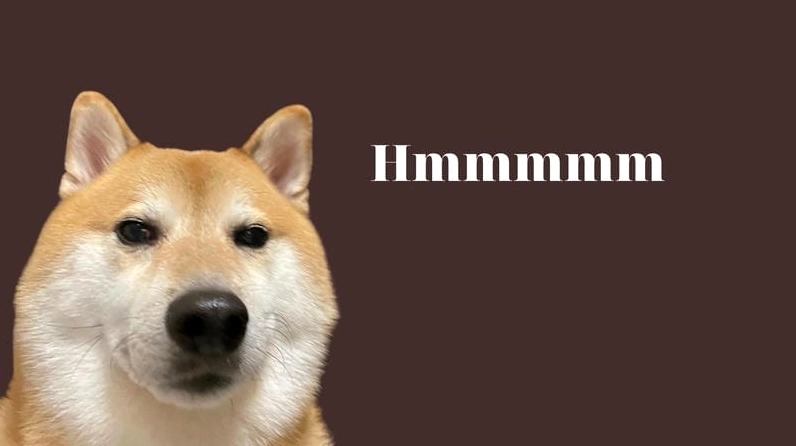 Ảnh meme chó cute Shiba cầm súng cực ngầu và hài hước