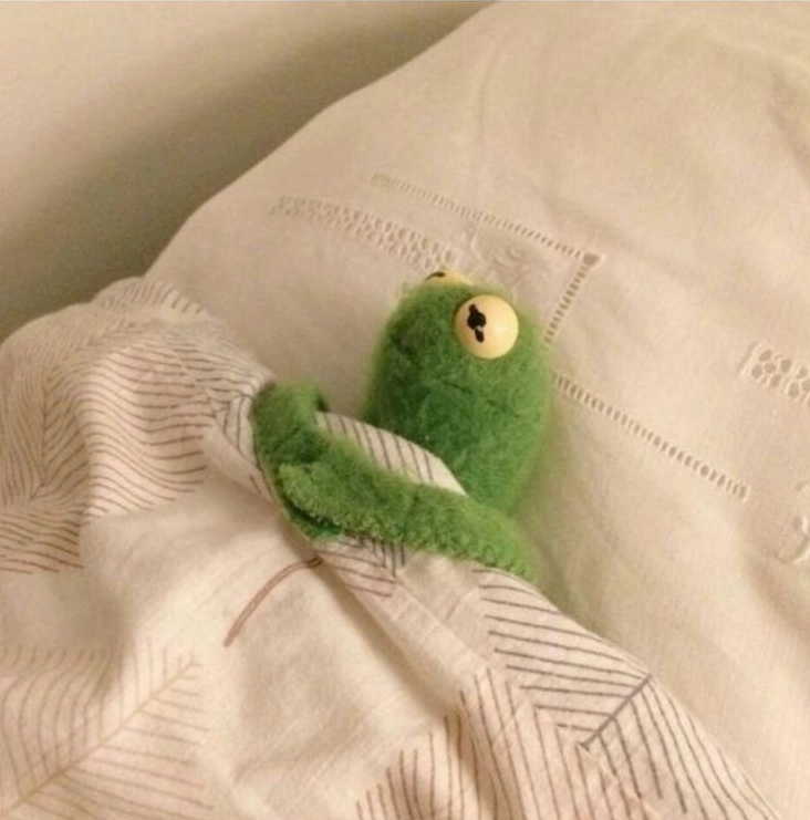 Bộ Sưu Tập Cận Cảnh Ảnh Meme Ngủ Hài Hước Nhất Bạn Từng Thấy 9 Ảnh meme con ếch ngủ say sưa một cách ngộ nghĩnh