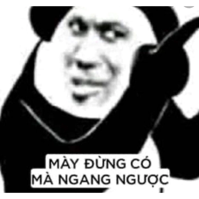 Ảnh meme gấu được chia sẻ rộng rãi với biểu cảm đang vui vẻ