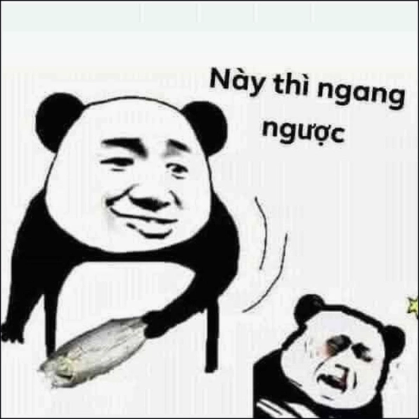 Ảnh meme gấu trúc cực bựa với ánh mắt lăm le tinh ranh