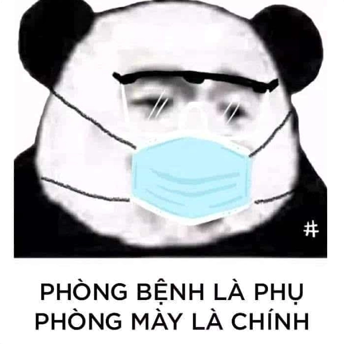 Ảnh meme gấu trúc từ chối lời đề nghị