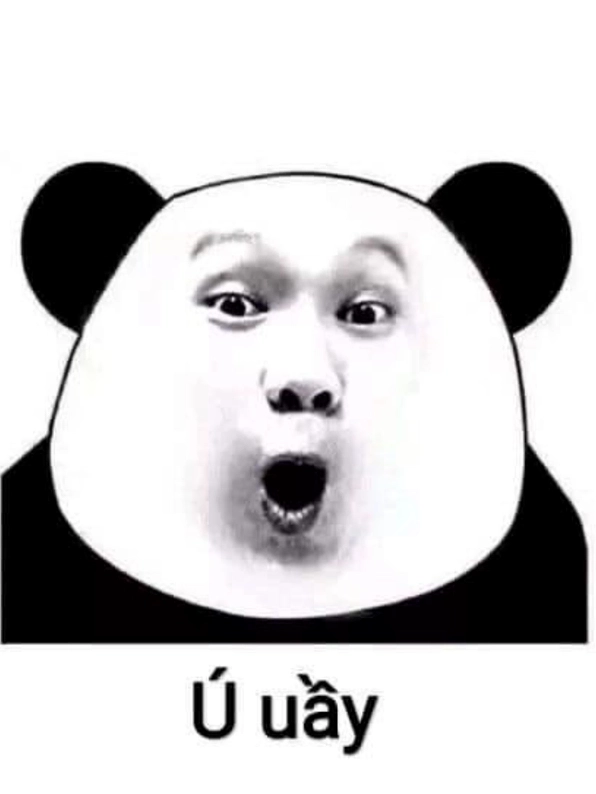 Ảnh meme gấu trúc weibo hài hước đang suy tư với vẻ mặt khó hiểu