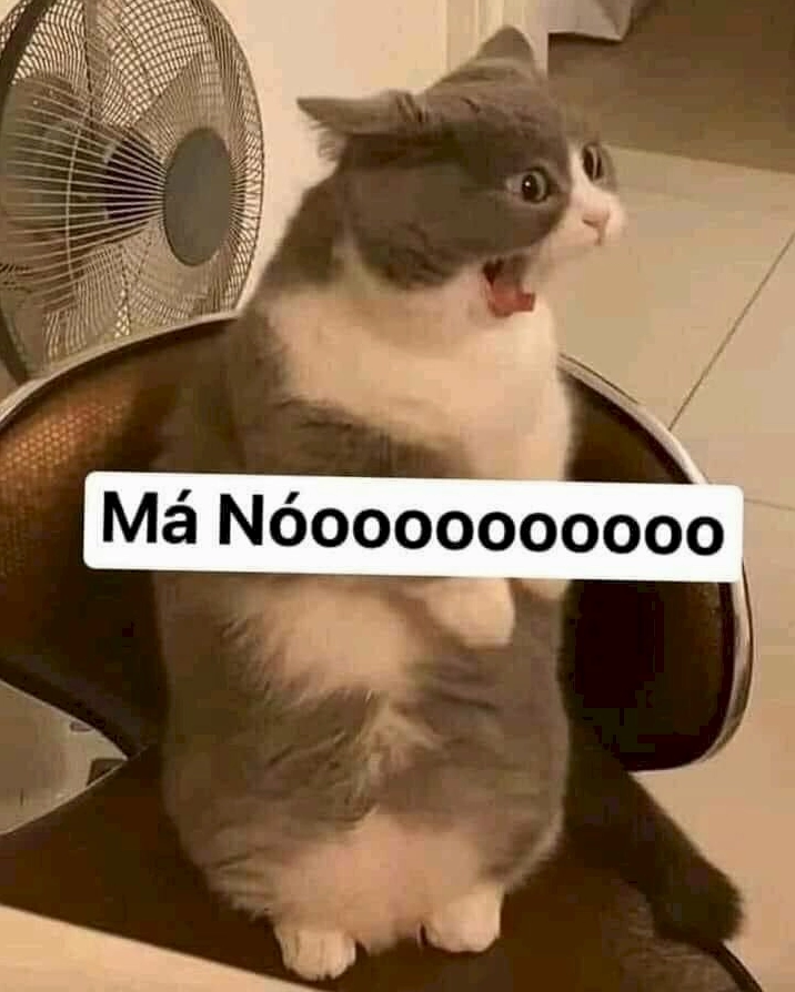 Ảnh meme há mồm mèo gào thét biểu cảm mạnh