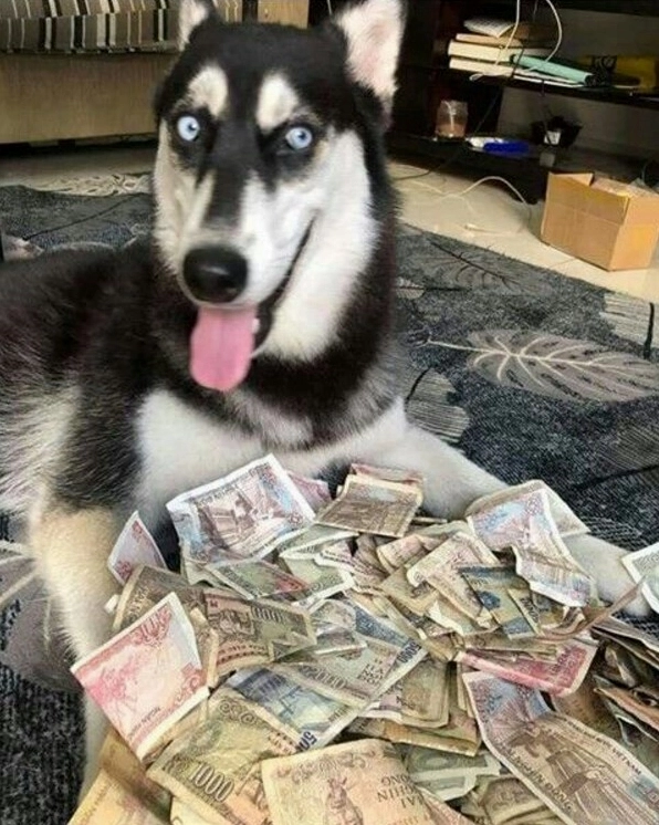 Cận Cảnh Những Ảnh Meme Hết Tiền Cười Đau Bụng Nhất Hiện Nay 9 Ảnh meme hết tiền không còn đồng nào trong ví của bạn