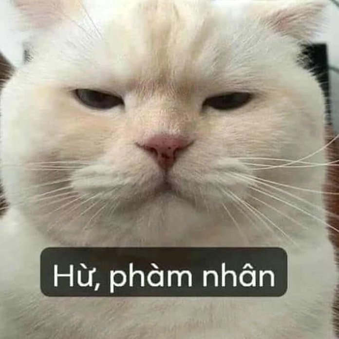 Cận cảnh bộ sưu tập ảnh meme khinh bỉ cười té ghế không thể bỏ qua 15 ảnh meme khinh bỉ nhân vật 'phàm nhân' trong anime/manga