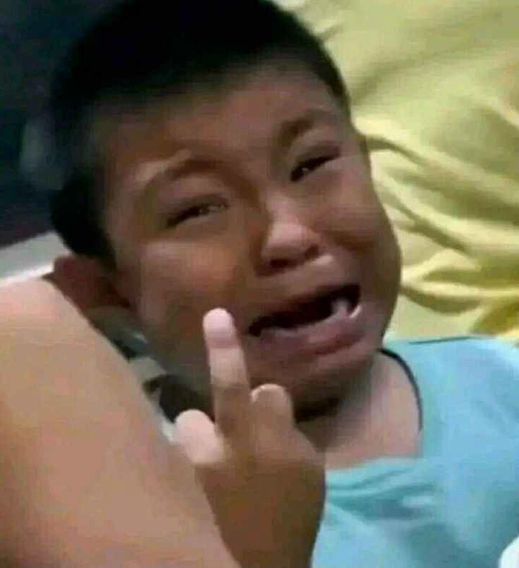 Cận cảnh 20+ ảnh meme khó hiểu khiến bạn "đứng hình" bật cười 3 Ảnh meme khó hiểu hình ảnh động vật biểu cảm 'wtf' với ánh mắt khó hiểu