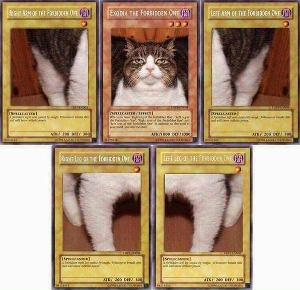 Bộ Sưu Tập Cận Cảnh Ảnh Meme Lá Bài Hài Hước và Độc Đáo Nhất 17 Ảnh meme lá bài Yugioh chế với hình ảnh mèo thần ăn hại, cực kỳ hài hước.