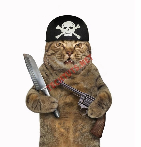 Ảnh meme mèo cầm dao với ánh mắt rực lửa