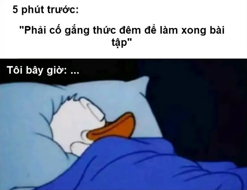 Bộ Sưu Tập Ảnh Meme Chúc Ngủ Ngon Cười Rụng Rốn Cực Đỉnh 9 Ảnh meme mèo chúc ngủ ngon với biểu cảm hài hước