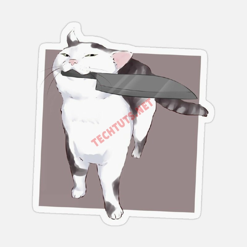 Ảnh meme mèo giang hồ với vẻ mặt thách thức