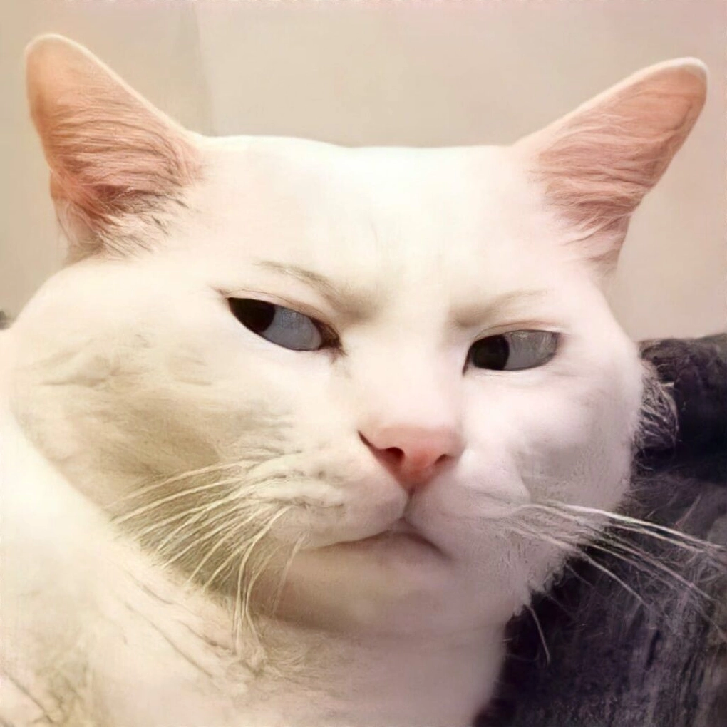 Ảnh meme mèo Liên Quân cực bựa với điệu cười nhếch mép