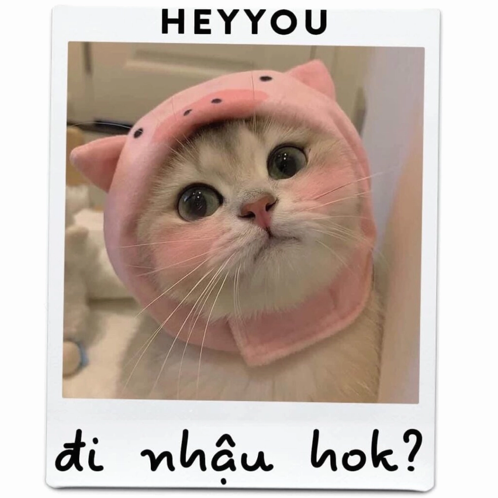 Ảnh meme mèo Liên Quân đáng yêu trong vai trò hỗ trợ