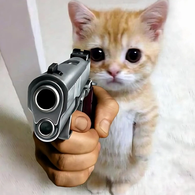 20+ Ảnh Meme Mèo Mắt Thâm Cận Cảnh và Biểu Cảm Thấu Đáo 1 Ảnh meme mèo mắt thâm cầm súng thể hiện sự căng thẳng của deadline