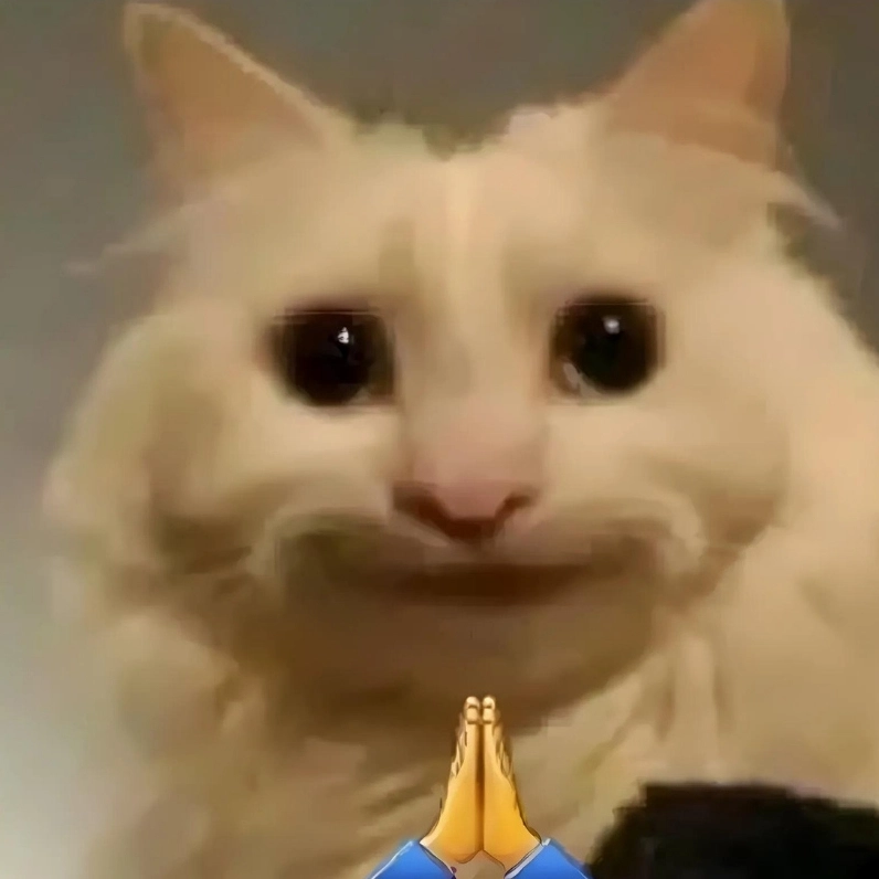 20+ Ảnh Meme Mèo Mắt Thâm Cận Cảnh và Biểu Cảm Thấu Đáo 16 Ảnh meme mèo mắt thâm cười đểu tinh quái