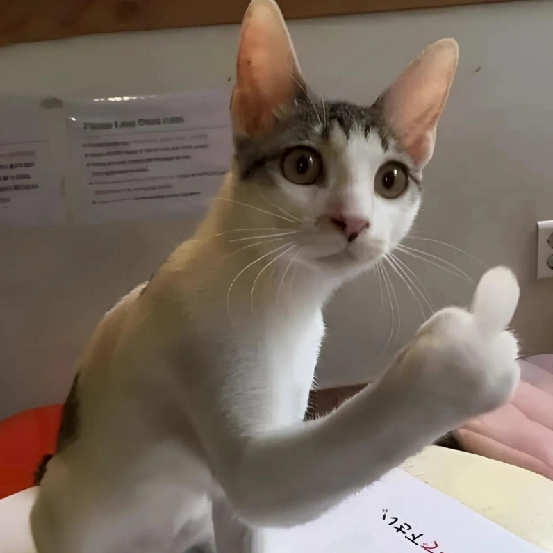 Ảnh meme mèo suy nghĩ giơ ngón trỏ, như đang chuẩn bị đưa ra một ý kiến quan trọng