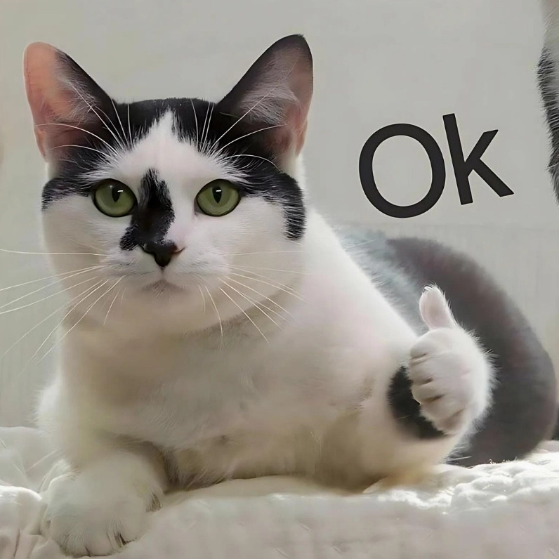 Ảnh meme mèo suy nghĩ với chữ OK, biểu tượng cho sự chấp thuận hoặc đã có giải pháp