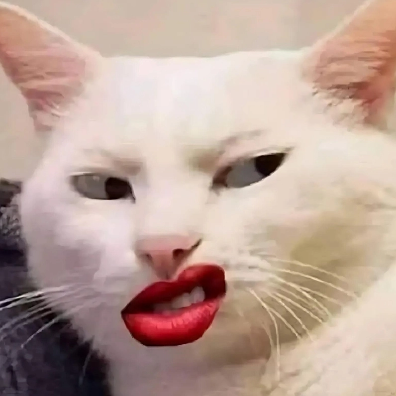 Ảnh meme mèo suy nghĩ với nụ cười nhếch mép hơi hỗn, chuẩn bị gây ra trò nghịch