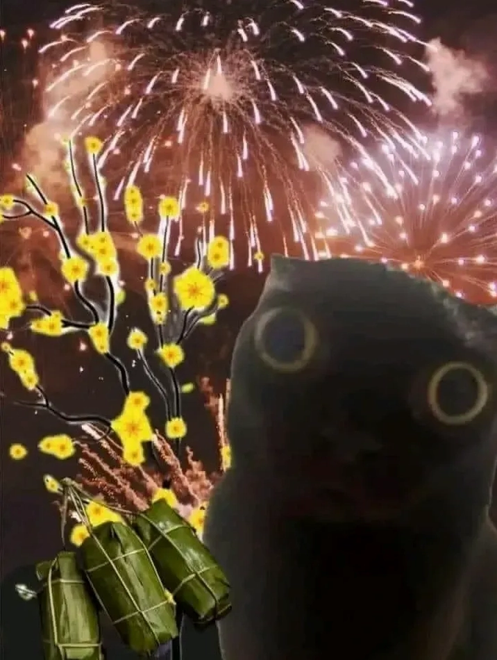 Ảnh meme mèo tết giận dỗi khi không được thỏa mãn sở thích của mình