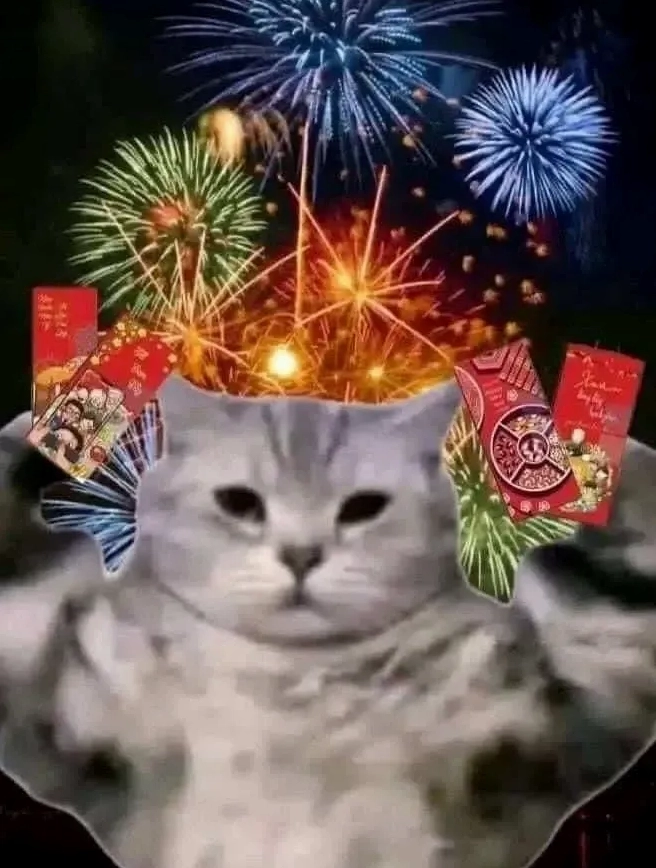 Ảnh meme mèo tết ngộ nghĩnh đòi lì xì bằng một ánh mắt biết nói