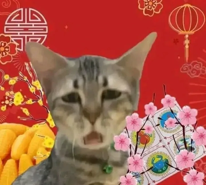 Ảnh meme mèo tết với biểu cảm buồn bã, thất vọng