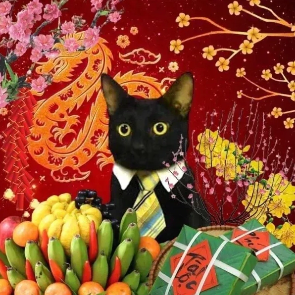 Ảnh meme mèo tết với biểu cảm hoang mang, không biết chuyện gì đang xảy ra