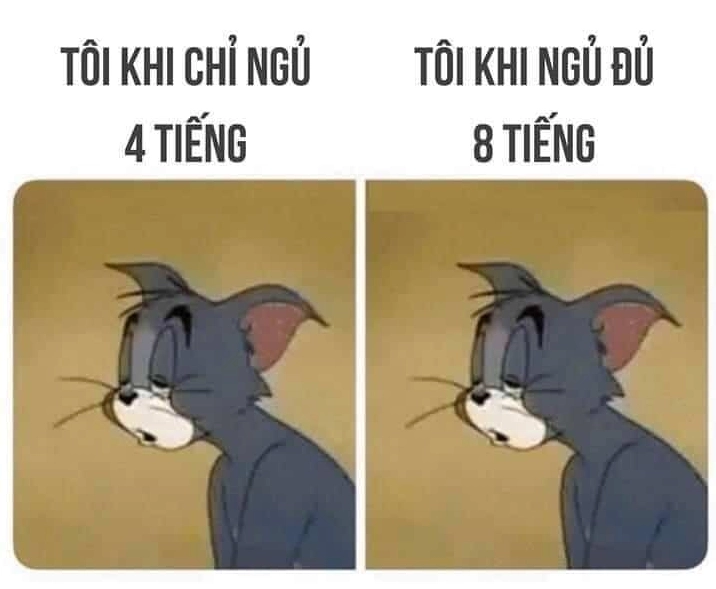 Ảnh meme mèo Tom buồn ngủ hài hước với chiếc gối êm ái