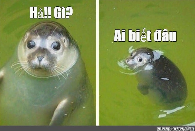 Ảnh meme ngây thơ từ chối trách nhiệm