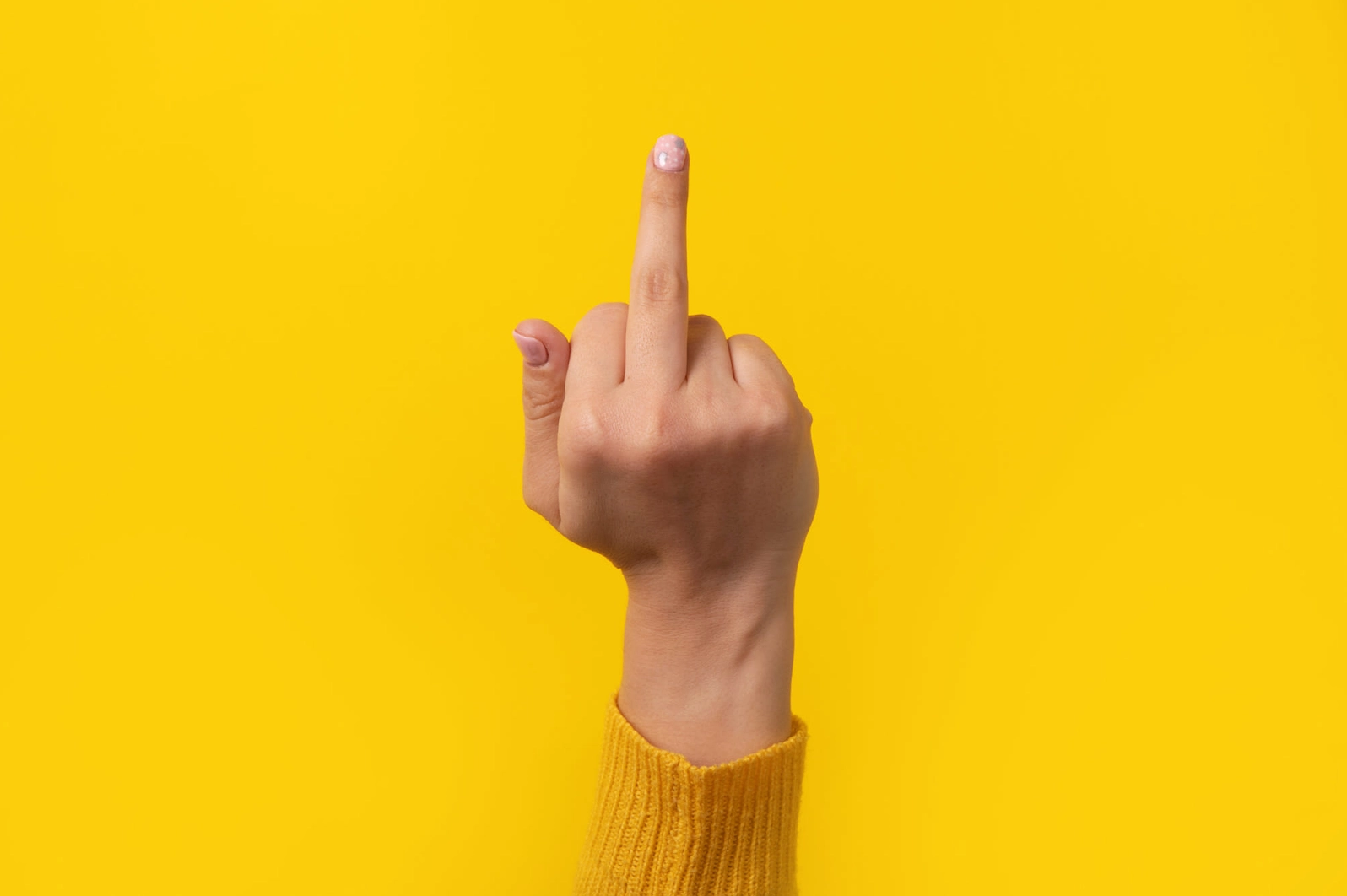 Ảnh meme ngón giữa của động vật mèo ngầu