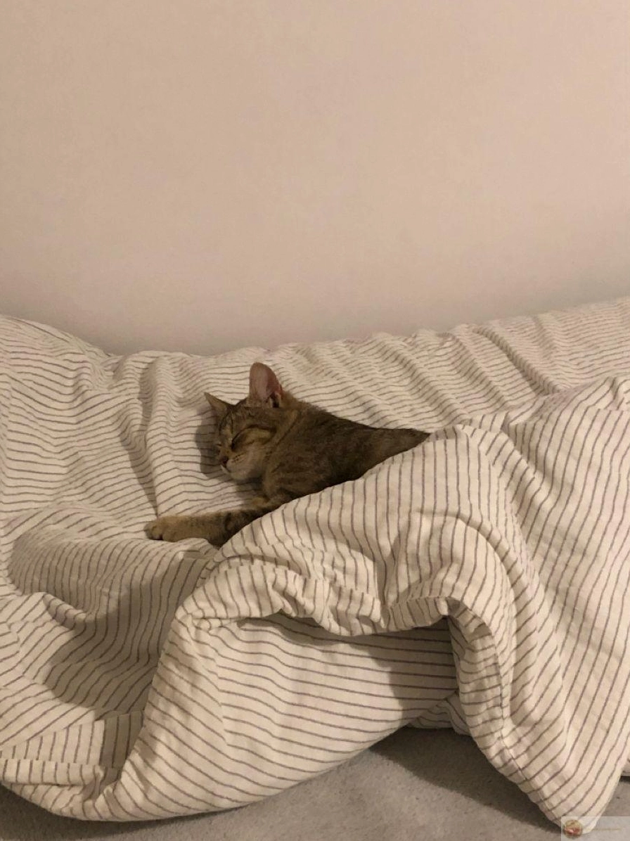 Bộ Sưu Tập Cận Cảnh Ảnh Meme Ngủ Hài Hước Nhất Bạn Từng Thấy 7 Ảnh meme ngủ xong tỉnh dậy không biết hôm nay là thứ mấy